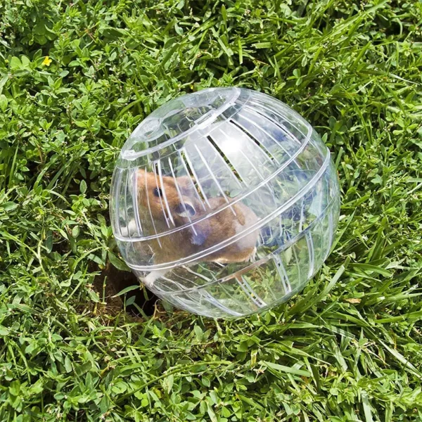 Transparent Acrylic Hamster Exercise Wheel Escape Proof Small Safe Portable Lightweight Multi Activity Pet Cage Design P5F9