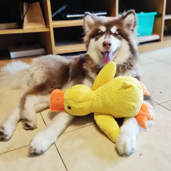 Dog Toy Stomping Duck Bite Resistant Grinding Teeth Cleaning Large Dog Interactive Entertainment Puppy Boredom Pet Plush Toy - Image 5