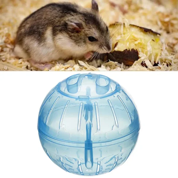 Transparent Acrylic Hamster Exercise Wheel Escape Proof Small Safe Portable Lightweight Multi Activity Pet Cage Design P5F9 - Image 2