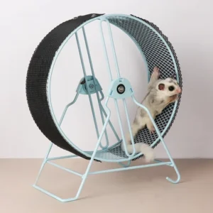 Steel Bearing Silent Running Wheel - Wall-Mounted Nail Grinder for Sugar Glider/Squirrel/Chinchilla Large Pet Exercise Equipment