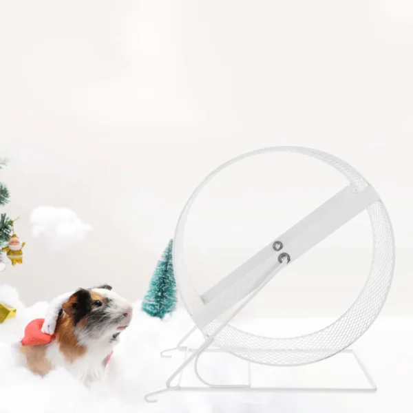 Silent Nail Grinding Running Wheel High Grade Iron Hamster Exercise Toy Durable Fitness Wheel Small Animals Plaything Pet - Image 4