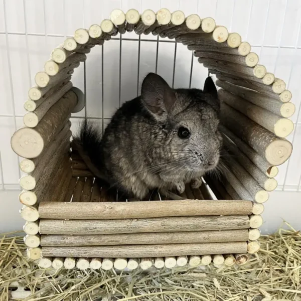 Ornamental Hamster House Weaving Hut Chinchilla Hut Bur-free Large Space Chinchilla Nest Hamster Hideout Habitat - Image 2