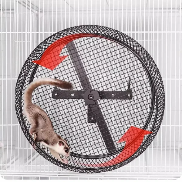 Steel Bearing Silent Running Wheel - Wall-Mounted Nail Grinder for Sugar Glider/Squirrel/Chinchilla Large Pet Exercise Equipment - Image 4