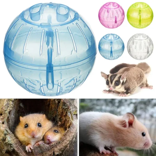 Transparent Acrylic Hamster Exercise Wheel Escape Proof Small Safe Portable Lightweight Multi Activity Pet Cage Design P5F9 - Image 3