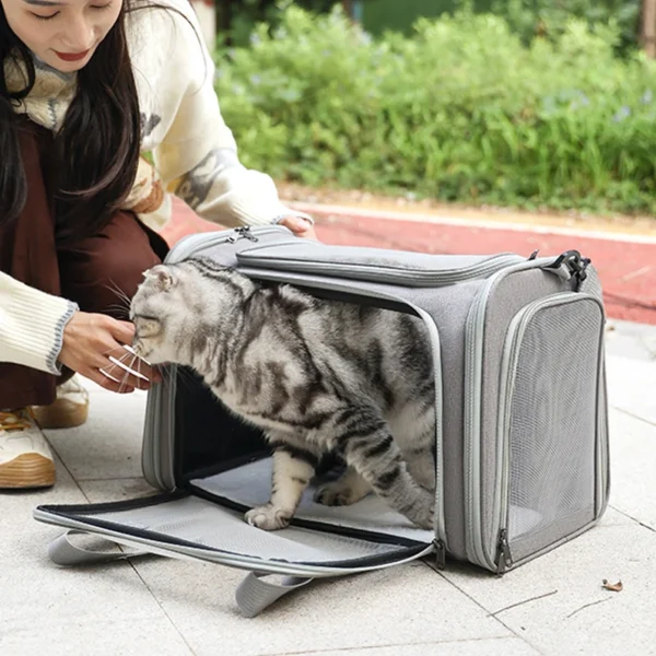 Portable Dog Cat Carrier Bag Soft Side Backpack Pet Carriers Dog Travel Bags Airline Approved Transport Outgoing Pets Handbag - Image 4