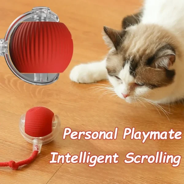 New Cat Interactive Ball Toy Automatic Rolling Ball Faux Tail Rechargeable Smart Pet Electric Toy Dog Cat Training Imitate Mouse - Image 2