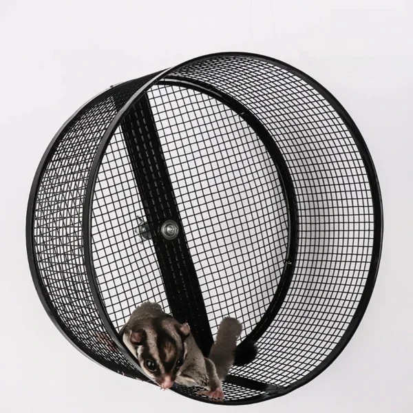 Steel Bearing Silent Running Wheel - Wall-Mounted Nail Grinder for Sugar Glider/Squirrel/Chinchilla Large Pet Exercise Equipment - Image 3